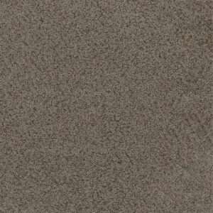 Dreamweaver Carpet Toast Of The Town Rugged Suede Carpet 5315_808