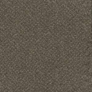 Dreamweaver Carpet Toast Of The Town Wrought Iron Carpet 5315_872