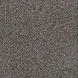 Dreamweaver Carpet Toast Of The Town Flagstone Carpet 5315_884