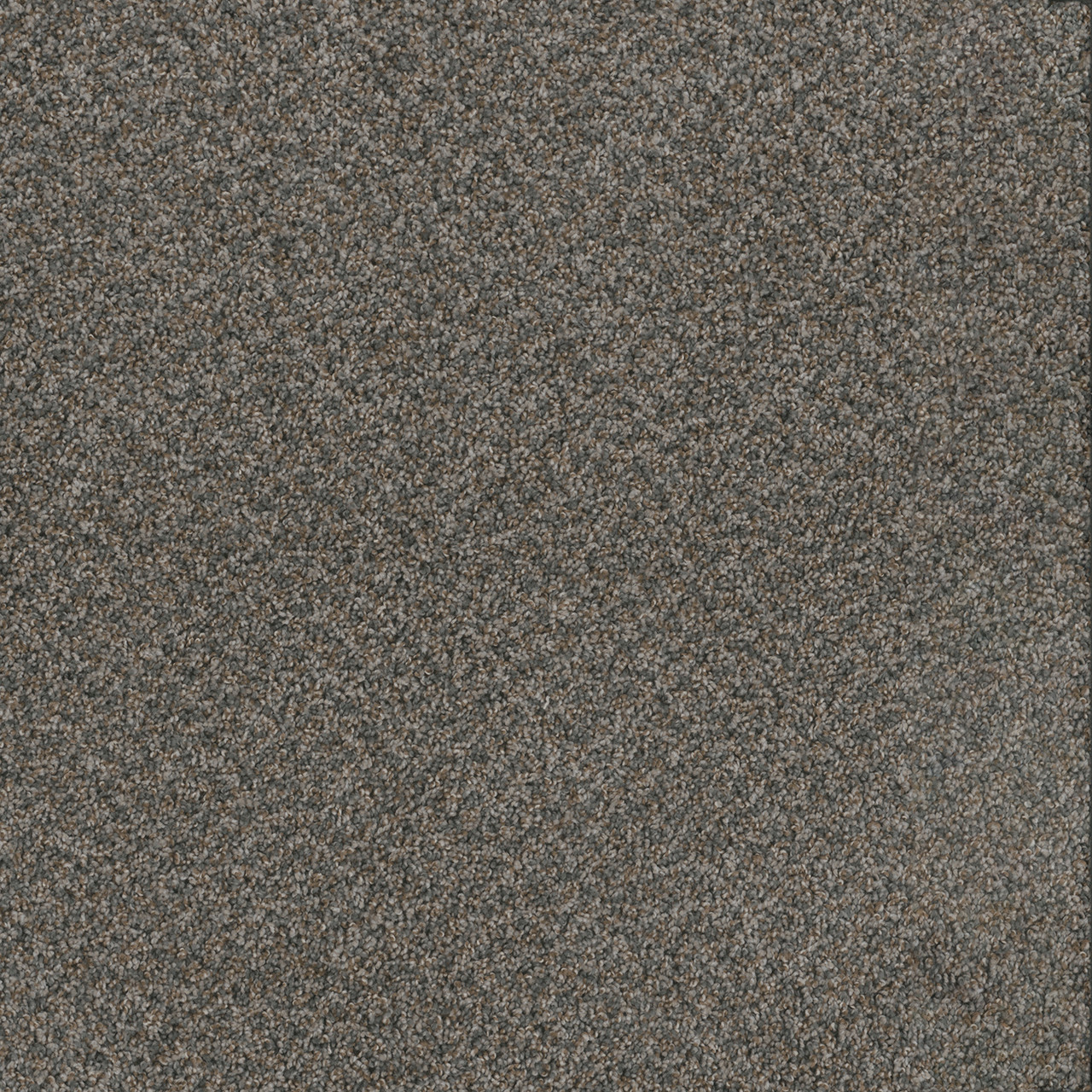 Dreamweaver Carpet Toast Of The Town Flagstone Carpet 5315_884