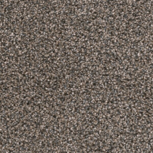 Dreamweaver Carpet Reflections III Imperial Sable Carpet 5375_134