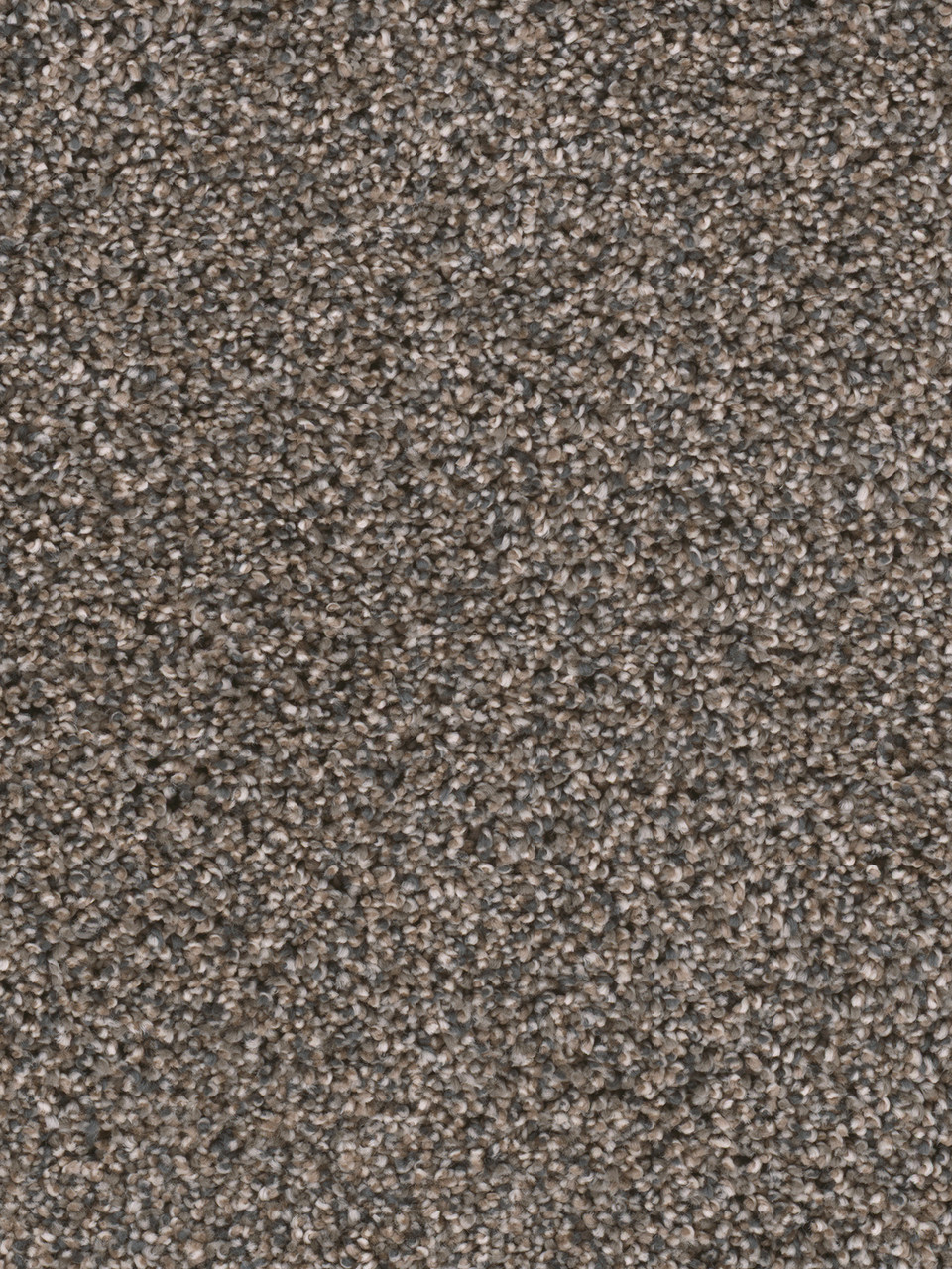 Dreamweaver Carpet Reflections II Imperial Sable Carpet 5365_134