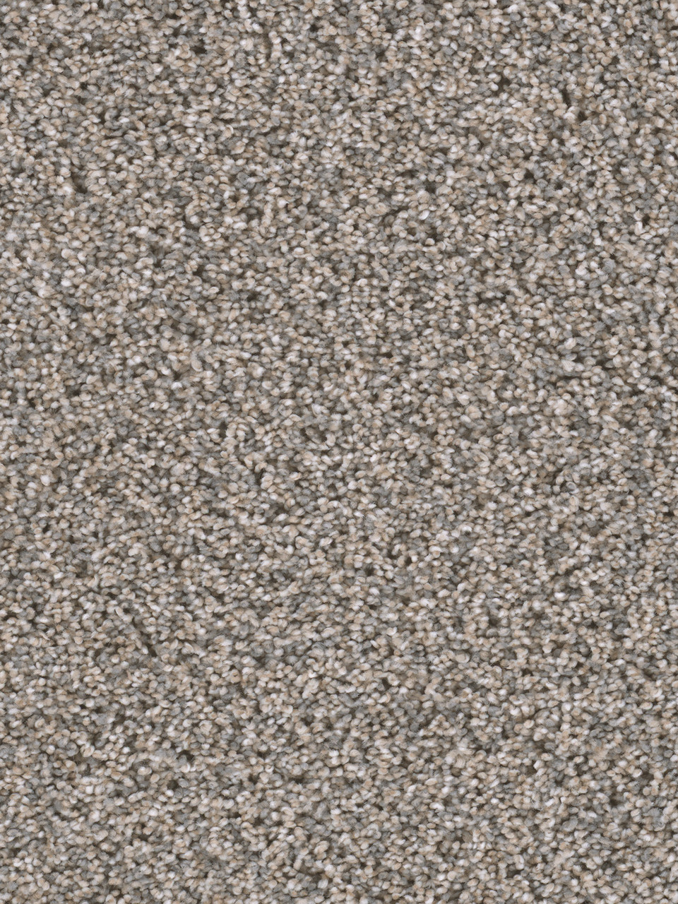 Dreamweaver Carpet Reflections II Glimmer Carpet 5365_262