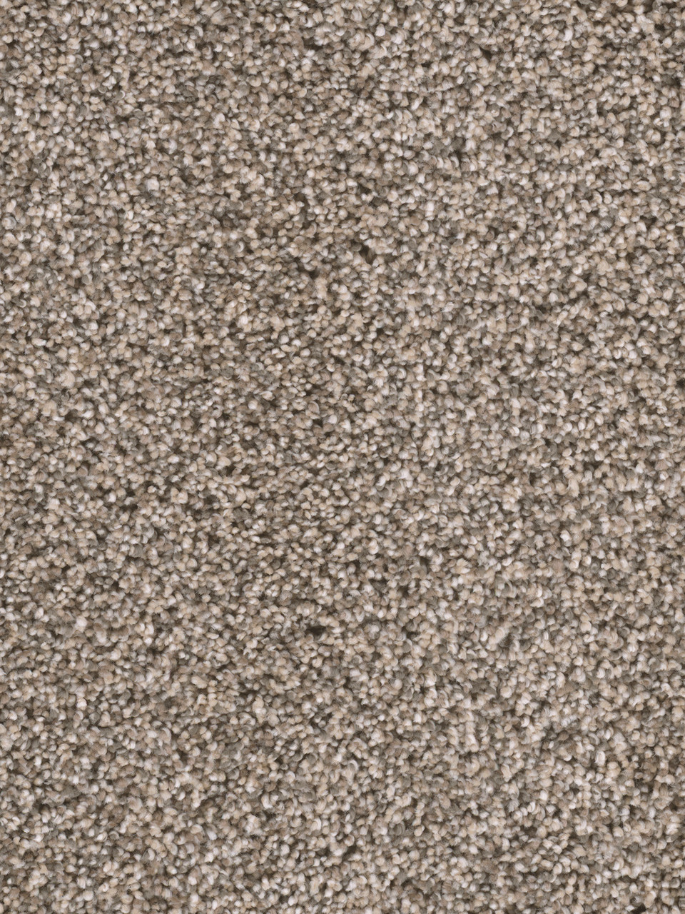 Dreamweaver Carpet Reflections II Oxford Stone Carpet 5365_359