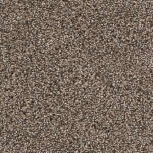Dreamweaver Carpet Reflections III Smokey Taupe Carpet 5375_381