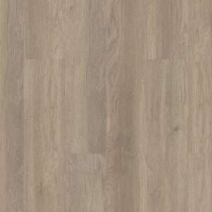 Shaw Mainstreet Commercial Indwell 20 Willow Oak 7"