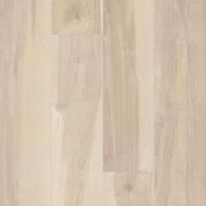 Shaw 5th And Main Symbiotic 30 Nova 6"