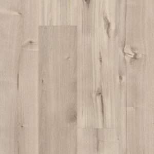 Shaw 5th And Main Symbiotic 30 Canvas 6"