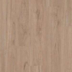 Shaw 5th And Main Setup Chatter Oak 7"