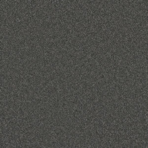 Dreamweaver Carpet Silver Lining III Storm Carpet 6033_2828