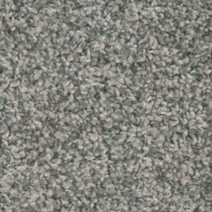 Dreamweaver Carpet West Brow Gun Powder Carpet 6035_274