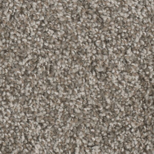 Dreamweaver Carpet West Brow Desert Jasper Carpet 6035_339