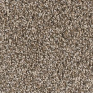 Dreamweaver Carpet West Brow Toasted Chestnut Carpet 6035_385