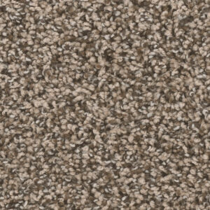 Dreamweaver Carpet West Brow Bedrock Carpet 6035_460