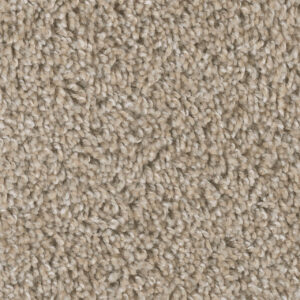 Dreamweaver Carpet West Brow Natural Pebble Carpet 6035_609