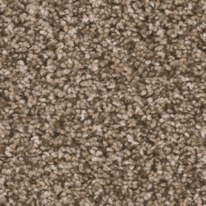 Dreamweaver Carpet West Brow Bramble Carpet 6035_845