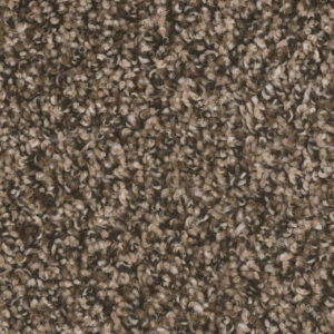 Dreamweaver Carpet West Brow Pepper Ridge Carpet 6035_904