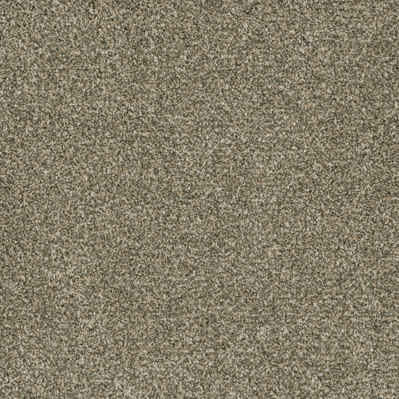 Dreamweaver Carpet Brazen II Olympic Carpet 6260_156