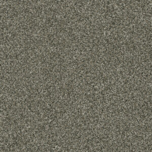 Dreamweaver Carpet Brazen I Millstone Carpet 6240_197