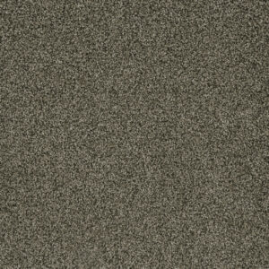 Dreamweaver Carpet Brazen I Smokestack Carpet 6240_239
