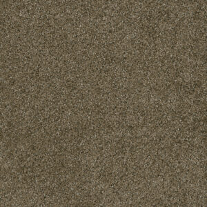 Dreamweaver Carpet Brazen I Brandywine Carpet 6240_245