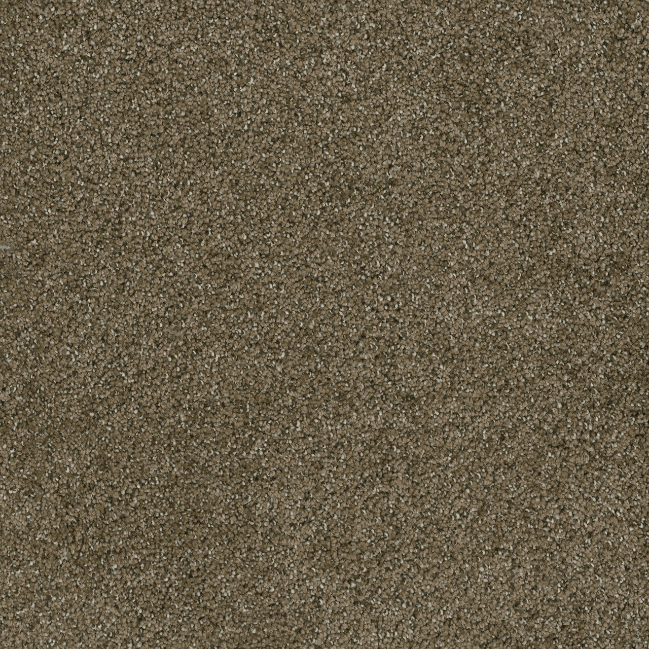 Dreamweaver Carpet Brazen II Brandywine Carpet 6260_245