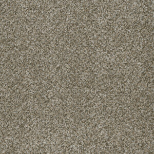 Dreamweaver Carpet Brazen I Moonshine Carpet 6240_250