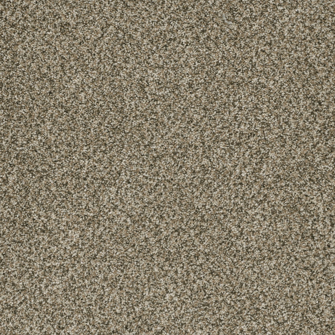 Dreamweaver Carpet Brazen II Sedona Carpet 6260_343