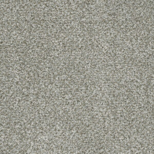 Dreamweaver Carpet Brazen I Purity Carpet 6240_407