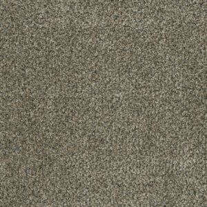 Dreamweaver Carpet Brazen I Feather Soft Carpet 6240_497
