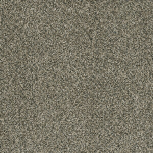 Dreamweaver Carpet Brazen I Pacifico Carpet 6240_542