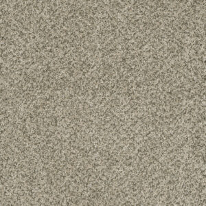 Dreamweaver Carpet Brazen I Acadia Carpet 6240_596