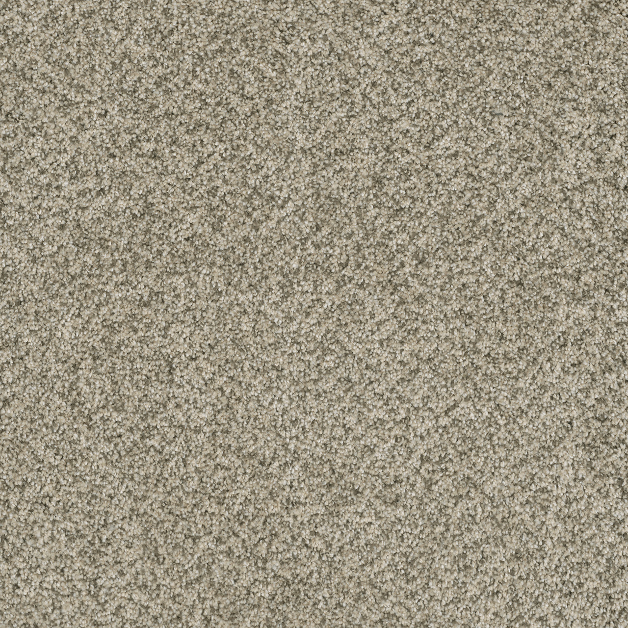Dreamweaver Carpet Brazen I Acadia Carpet 6240_596