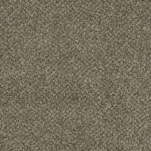Dreamweaver Carpet Brazen I Olivewood Carpet 6240_605