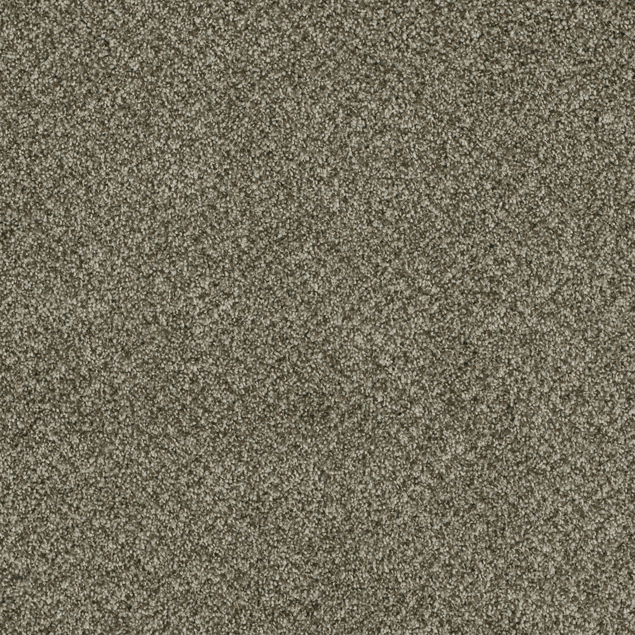 Dreamweaver Carpet Brazen I Olivewood Carpet 6240_605