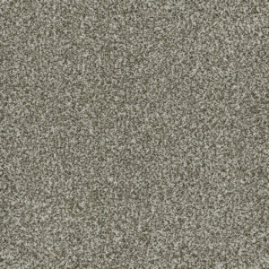 Dreamweaver Carpet Brazen I Clove Carpet 6240_848