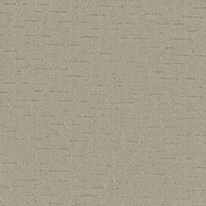 Dreamweaver Carpet Organic Elements Warm Glow Carpet 6335_2010