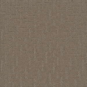 Dreamweaver Carpet Organic Elements Western Clay Carpet 6335_2088