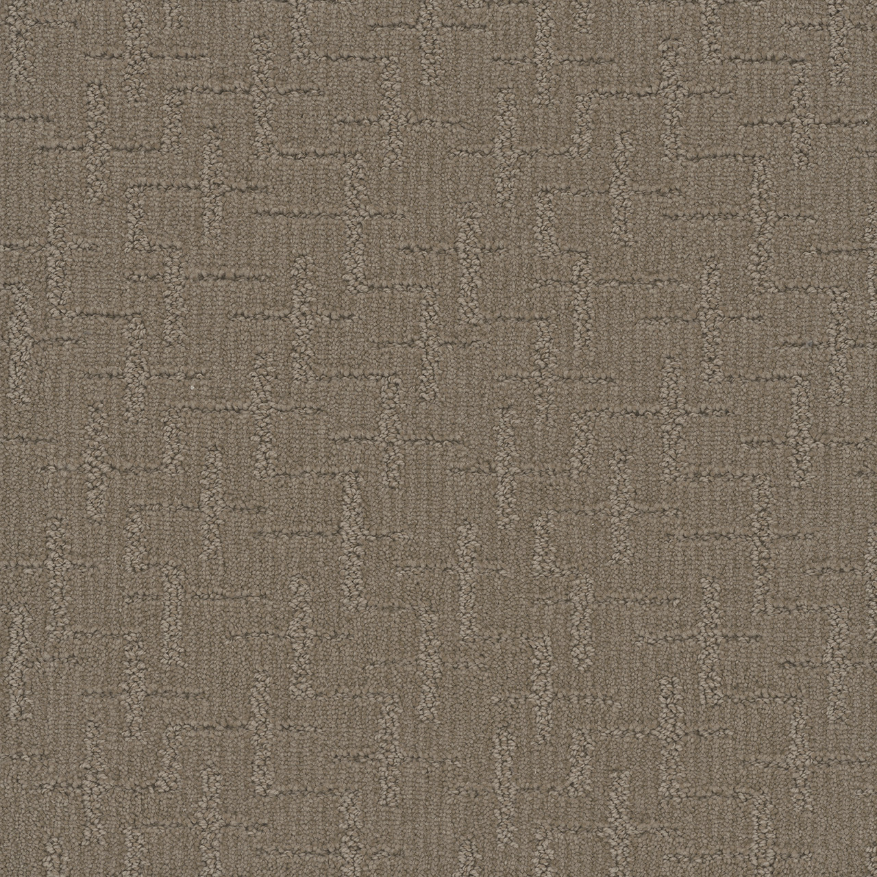 Dreamweaver Carpet Organic Elements Western Clay Carpet 6335_2088