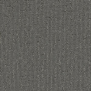 Dreamweaver Carpet Organic Elements Ocean Point Carpet 6335_2113