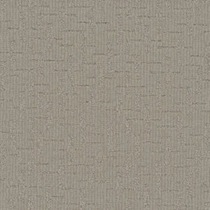 Dreamweaver Carpet Organic Elements Whisper Point Carpet 6335_2289