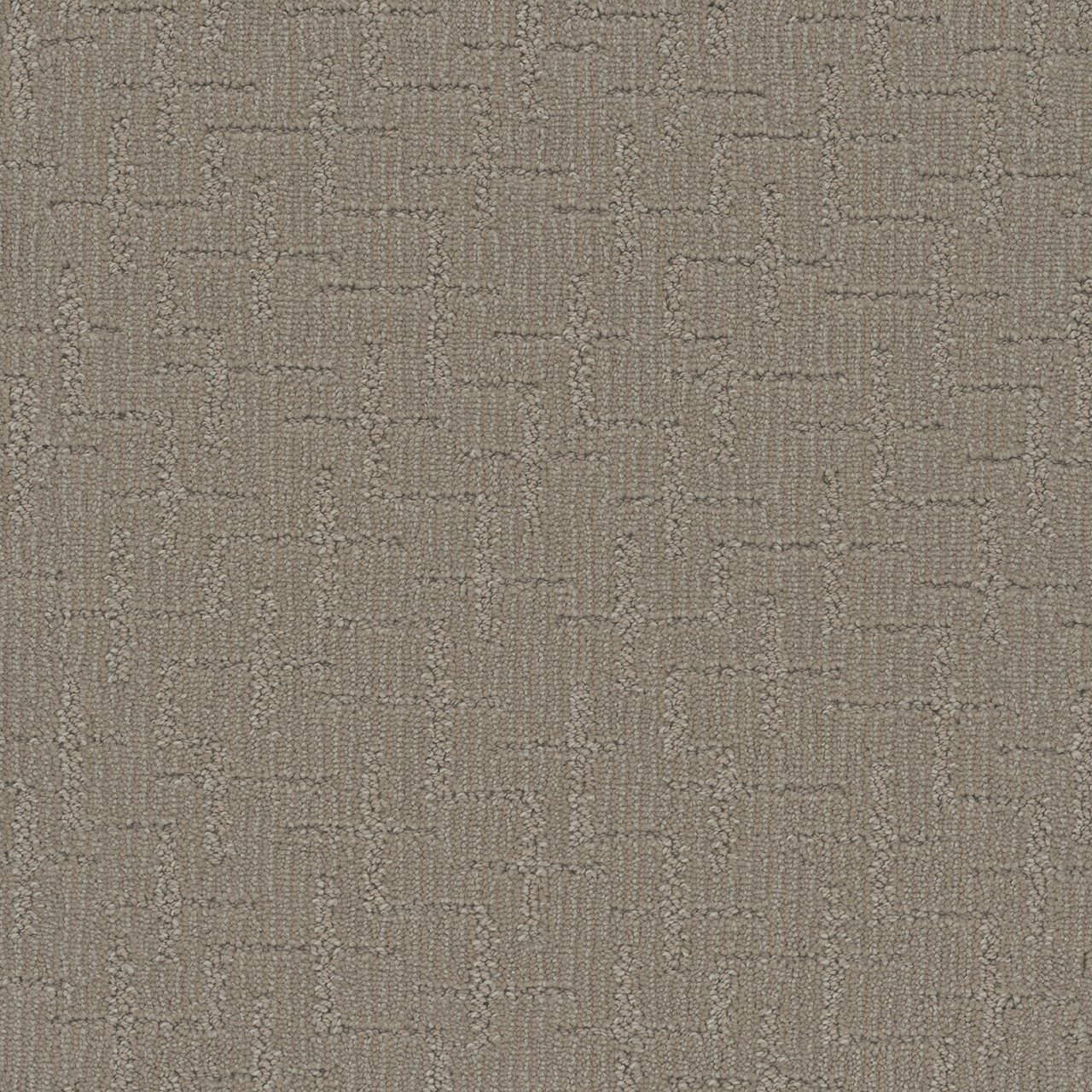 Dreamweaver Carpet Organic Elements Sweet Woodruff Carpet 6335_2316