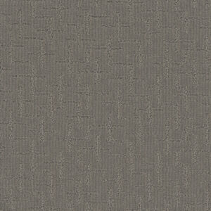 Dreamweaver Carpet Organic Elements Castleberry Carpet 6335_2332
