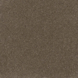 Dreamweaver Carpet Serene III Walnut Grove Carpet 7165_2223