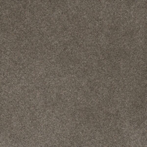 Dreamweaver Carpet Serene III Ridgeview Carpet 7165_2245