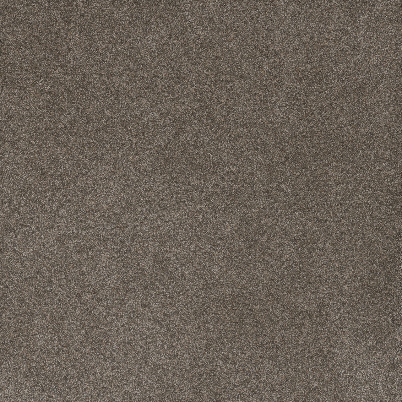 Dreamweaver Carpet Serene I Ridgeview Carpet 7140_2245