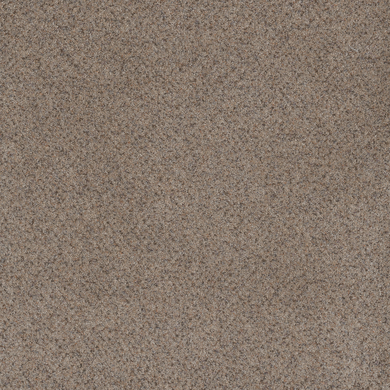 Dreamweaver Carpet Serene II Shining Star Carpet 7150_2292
