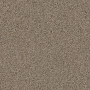 Dreamweaver Carpet Exceptional II Iced Coffee Carpet 7404_373