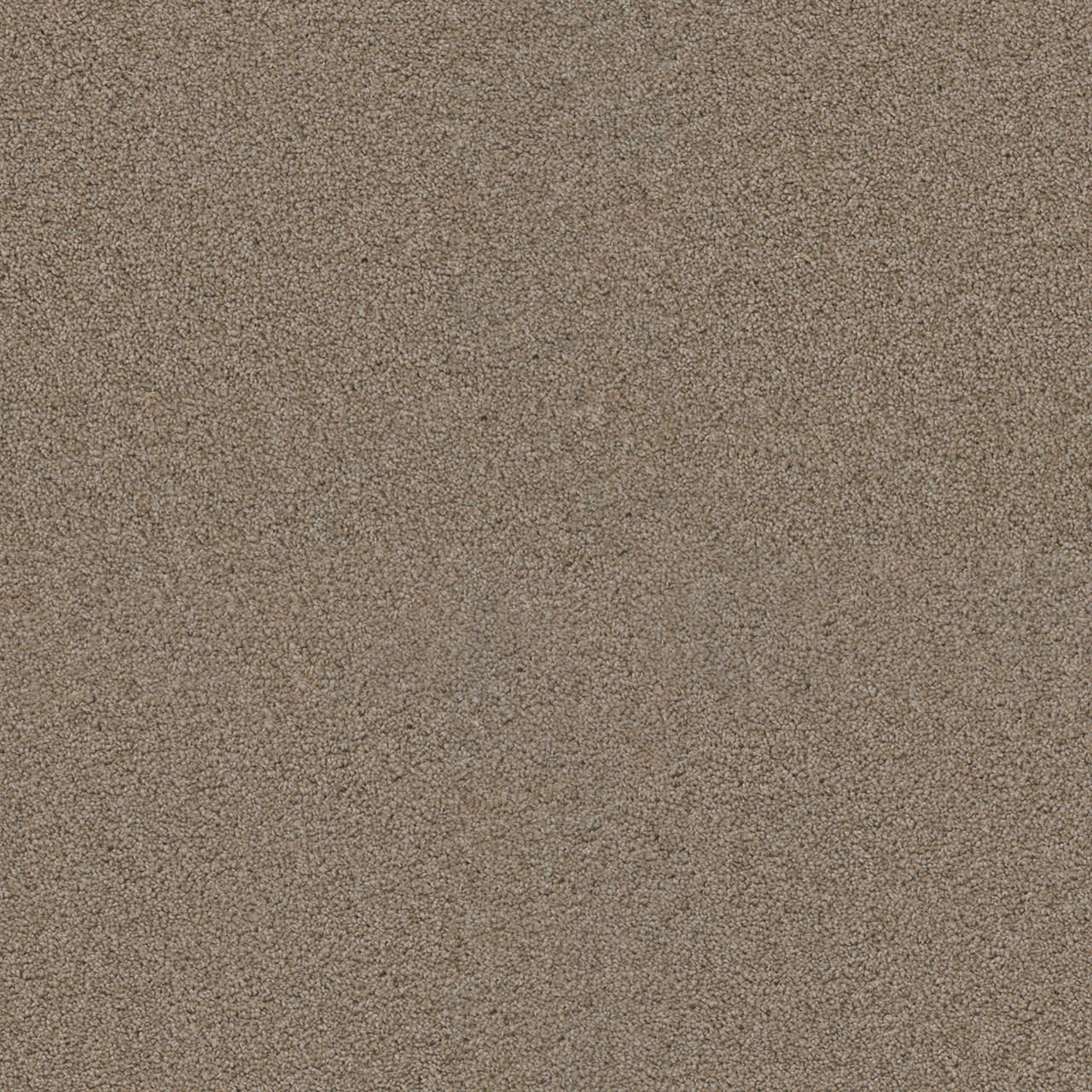 Dreamweaver Carpet Exceptional II Iced Coffee Carpet 7404_373