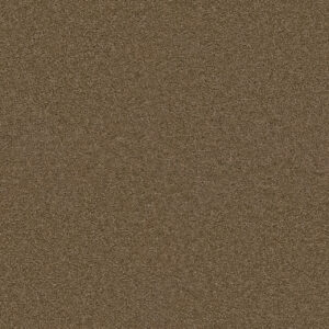 Dreamweaver Carpet Exceptional II Sable Carpet 7404_510